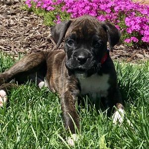 Meet your Posher, Katelyn